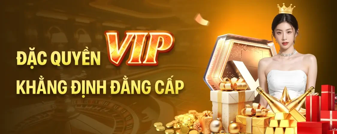 HO88 Đặc Quyền VIP