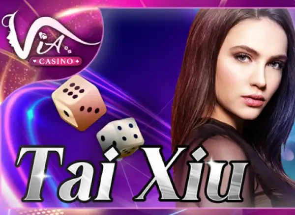 HO88 Tài Xỉu